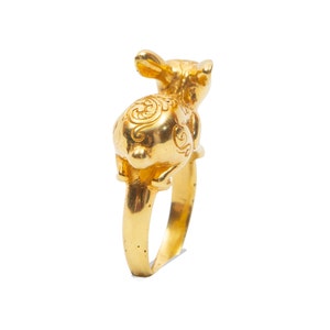 Rabbit ring, year of the rabbit ring, image 7