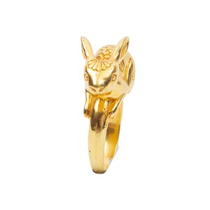 Rabbit ring, year of the rabbit ring, image 4