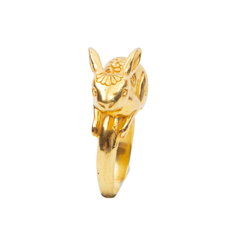 Rabbit ring, year of the rabbit ring, image 4