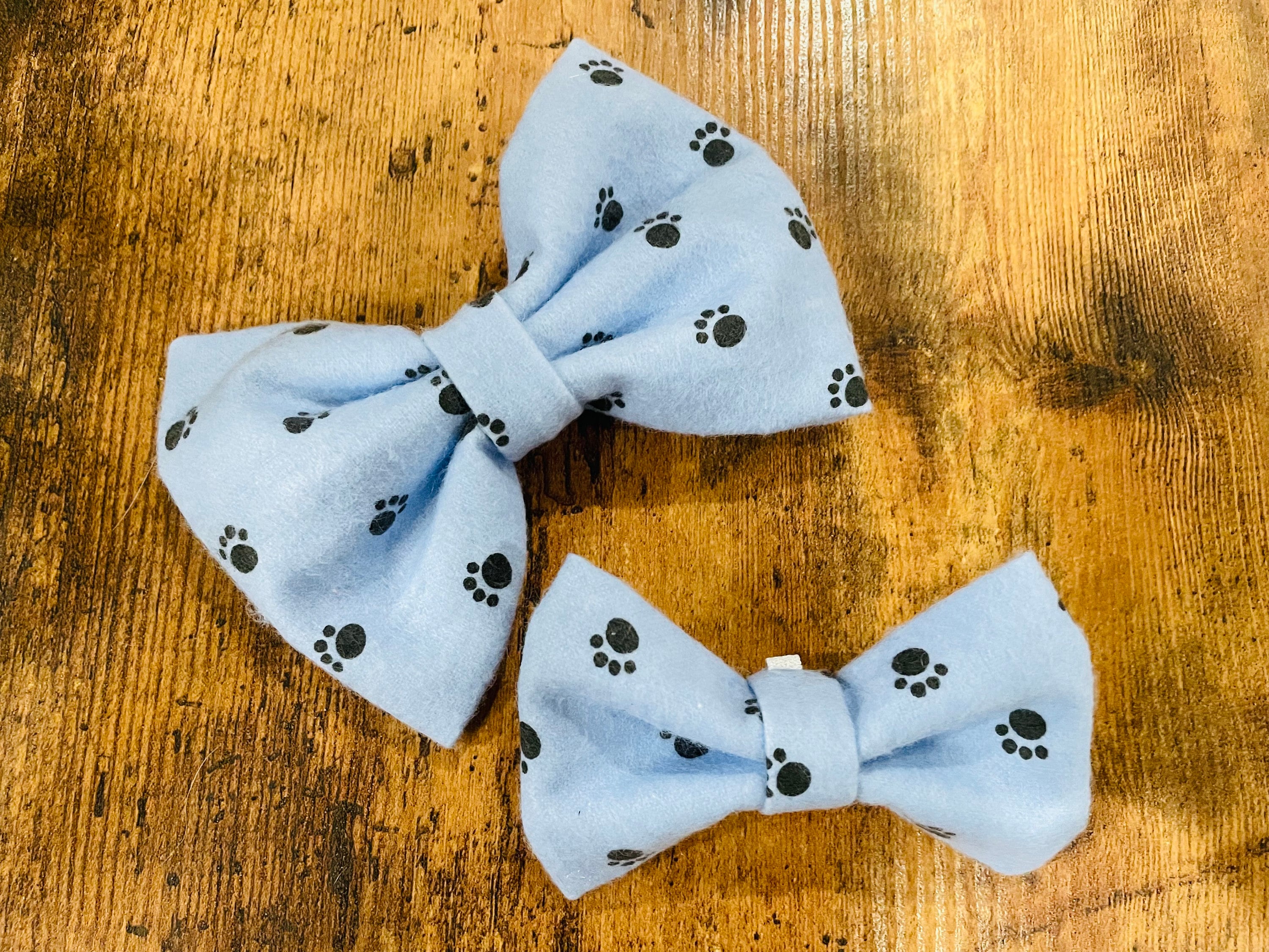 Black Paws on Blue