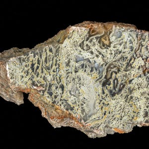 May include: A natural stone specimen with a complex, web-like pattern in shades of white, gray, and yellow. The rough, textured surface of the rock is framed by a brown and orange outer layer, set against a black background.
