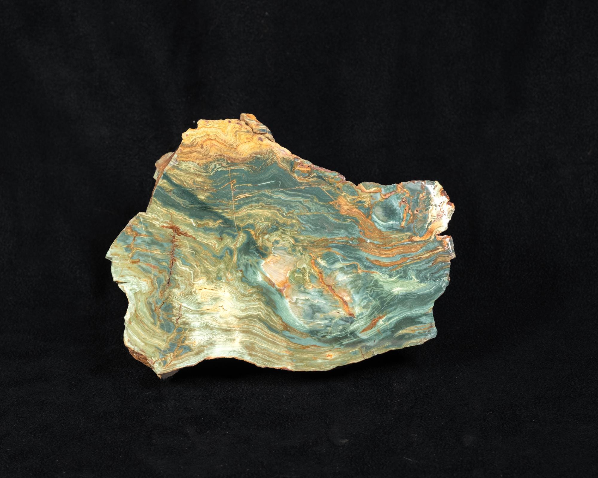 Gary Green Jasper/ Petrified wood, Mirror Polished Display Ready, Thick Cut, Green, Blue, Fossil, Lapidary, Collector, Gift, Home Decor,