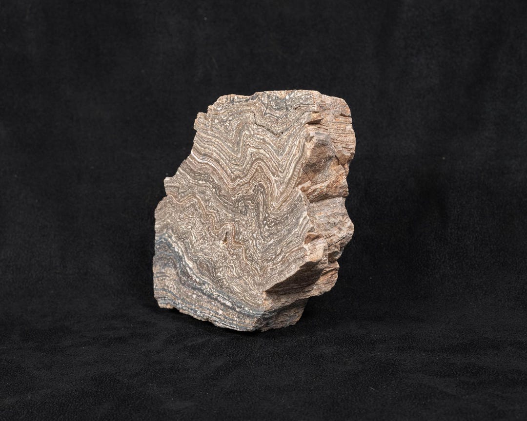 Banded Rhyolite, Polished Geology Display, Natural, Stone, Display ...