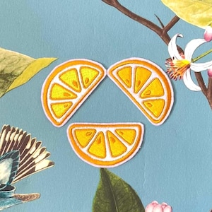 May include: Three embroidered orange slice patches with yellow segments and white outlines. The patches are arranged on a light blue background with floral and botanical illustrations. The patches are a bright and cheerful design.