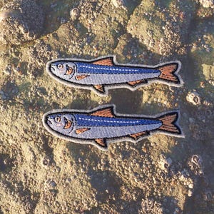 Sardine Iron on Patch