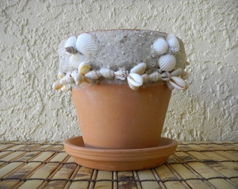 Terra Cotta Plant Pot with Seashells, 4" Planter