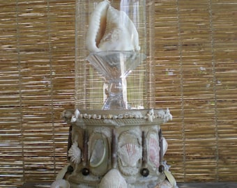 Pedestal victoriano de exhibición de recuerdo con cúpula de vidrio Cloche Coquillage, único en su tipo, vintage