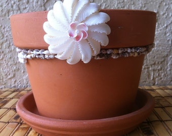 Terra Cotta Planter with shell flower, shell , embellished planter, 6 " plant pot