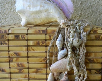 CONCH SHELL HORN Ceremonial, Drum Circle, Wedding, Sunset Celebration, coquille de conque, cáscara de concha, Ceremonial Hawaiian Pu Shell