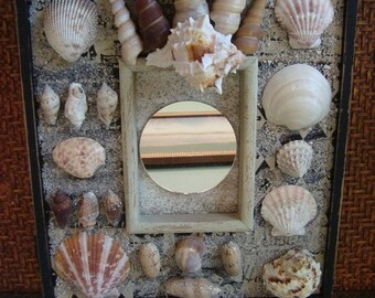 Shell Mirror in Black and Grays,  Mirror and Seashells