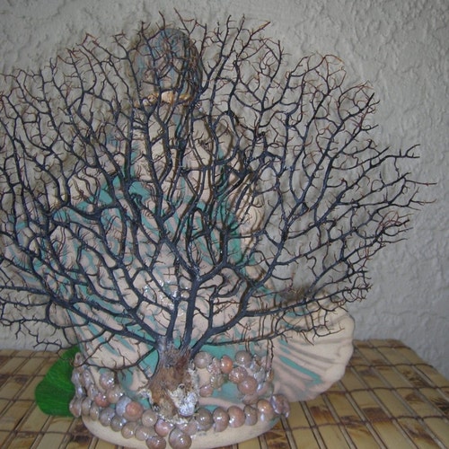 Prince orders Neptune Statue, Sea Fan Tropical Decor Florida Grouper Beach Decor