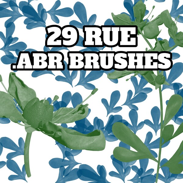 Rue .ABR Brush Pack (Photoshop CC, Procreate, Clip Studio Paint)