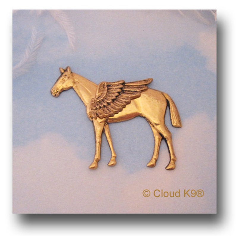 Horse Guardian Angel Pin for Equestrian Lovers & Cowgirls. Pet Memorial Gifts. Winged Horse Jewelry for Men Women / Colt Pony Quarter Horse 