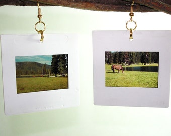 Open Country Photo Earrings - Horse in the Mountains Vintage Photograph Slide