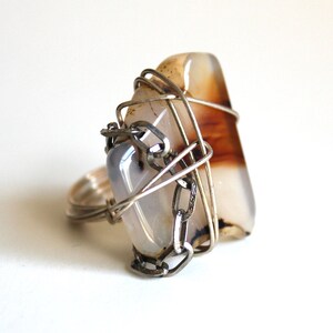 A little touch of Animal Ring that Rocks size 7 image 3