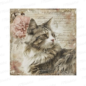 12 jpg Clipart de Coon Principal Shabby Chic, Pacote de Páginas de Diário de Gatos, Páginas de Scrapbooking para Imprimir, Diário de Animais, Papel Digital