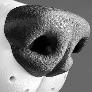 May include: A 3D printed sculpture of an animal nose featuring a textured black surface with visible horizontal layer lines and a smooth white muzzle area with small circular indentations on either side of the central vertical groove.