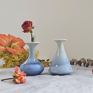 Könnte beinhalten: Zwei kleine, blau-weiße Keramikvasen mit Craquelé-Glasur. Eine Vase enthält eine getrocknete Rose. Die Vasen werden mit orangefarbenen Blumen und anderen getrockneten floralen Elementen präsentiert.