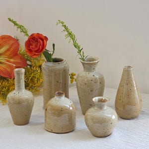 May include: A selection of six speckled ceramic vases in various shapes. The vases are beige with brown speckles, displayed with orange flowers and greenery. The vases are decorative and would suit any home.