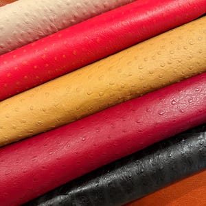 Peut inclure: Gros plan de plusieurs rouleaux de cuir textur&eacute; de diff&eacute;rentes couleurs. Les couleurs incluent cr&egrave;me, rouge, or, bordeaux et noir. Le cuir pr&eacute;sente un motif distinctif de petites bosses en relief.