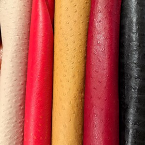 Peut inclure: Gros plan sur plusieurs rouleaux de cuir textur&eacute; de diff&eacute;rentes couleurs. Les couleurs comprennent le cr&egrave;me, le rouge, l'or, le bordeaux et le noir. Le cuir pr&eacute;sente un motif distinctif de petites bosses en relief.