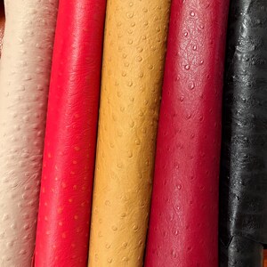 Peut inclure: Gros plan sur des peaux de cuir roul&eacute;es de diff&eacute;rentes couleurs. Les couleurs comprennent le cr&egrave;me, le rouge, l'or, le bordeaux et le noir. Le cuir pr&eacute;sente un motif textur&eacute; et pointill&eacute;.
