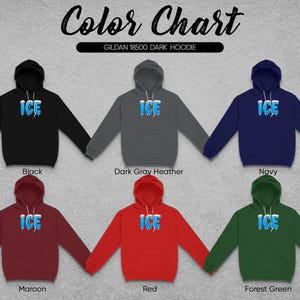 Ice Printed Hoodie, Color Chart Hoodie, Trendy Winter Apparel, Casual Graphic Sweatshirt, Warm Clothing, Cozy Hoodie for Cold Days