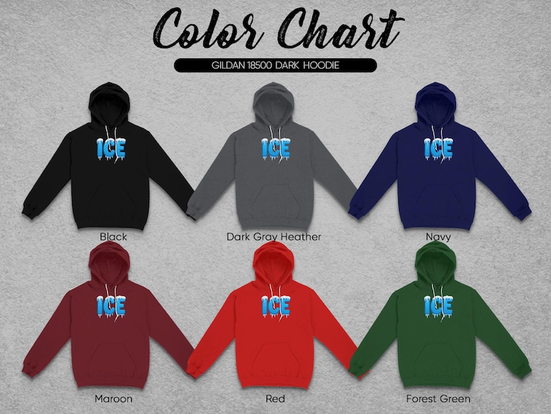 Ice Printed Hoodie, Color Chart Hoodie, Trendy Winter Apparel, Casual Graphic Sweatshirt, Warm Clothing, Cozy Hoodie for Cold Days