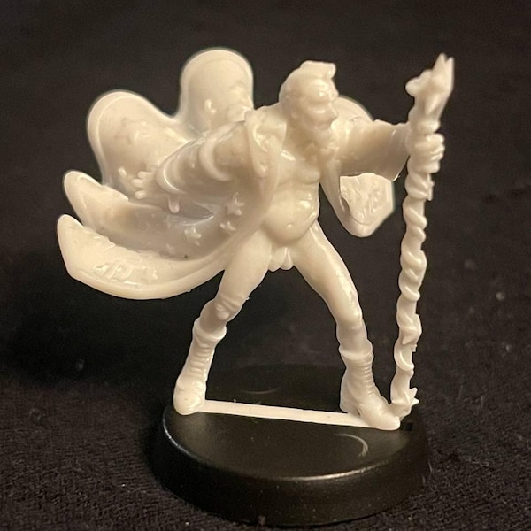 Miniatura di un mago adulto