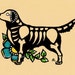 see more listings in the Skeleton Pets Dogs Cats section