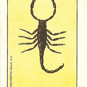 Old School Tattoo Art Scorpion EL ALACRAN Loteria Print 5 x 7, 8 x 10 or 11 x 14 image 4