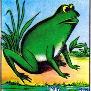 K&ouml;nnte beinhalten: Ein gr&uuml;ner Frosch mit gro&szlig;en Augen sitzt auf einem braunen Felsen in der N&auml;he eines Teichs mit Seerosen. Der Frosch blickt nach rechts. Die Karte ist mit "54" und "La Rana" in der linken unteren und rechten unteren Ecke beschriftet.