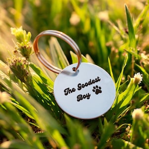 Custom Engraved Pet Tag Cute Dog ID Tag With Heart Personalized Name Tag Gift For Puppy Or Kitten Pet Collar Charm