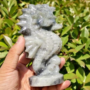 Natürliche Mondstein Seepferd Figur, Wohnkultur, Kristall Tier Dekor, Kristall Seepferd Dekor Carving, zufällig