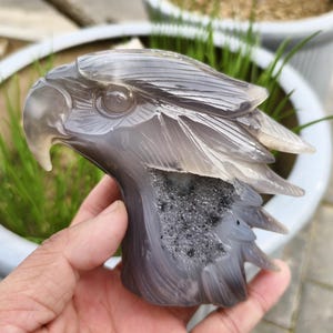 Natural Agate Geode Eagle Skull Carving: Crystal Bird Decor