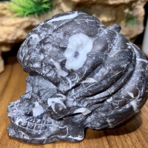 Escultura de caveira de abóbora de jaspe oceânico de 3,6'', decoração para casa, caveira metafísica, cristal de cura, decoração de caveira de cristal, caveira esculpida à mão
