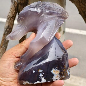 Statuetta a forma di teschio di lupo in geode di agata intagliata a mano, scultura di animali in cristallo curativo, pietra curativa, decorazione in cristallo, cristallo metafisico raro