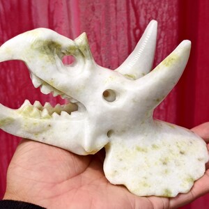 Scultura di teschio di triceratopo in cristallo: decorazione di dinosauro in pietra curativa