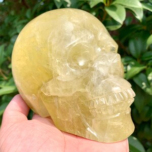 Hand-Carved Citrine Crystal Skull: Home Decor, Healing Stone (5.5&#39;&#39;/1.8KG)