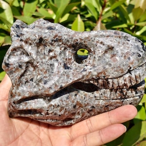 Statua di teschio di dinosauro Yooperlite: decorazione per la casa in cristallo intagliato