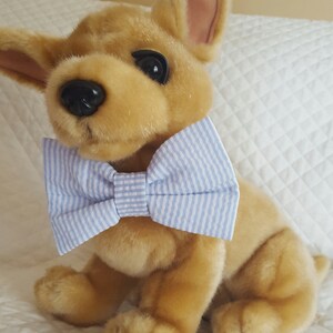seersucker dog bow tie