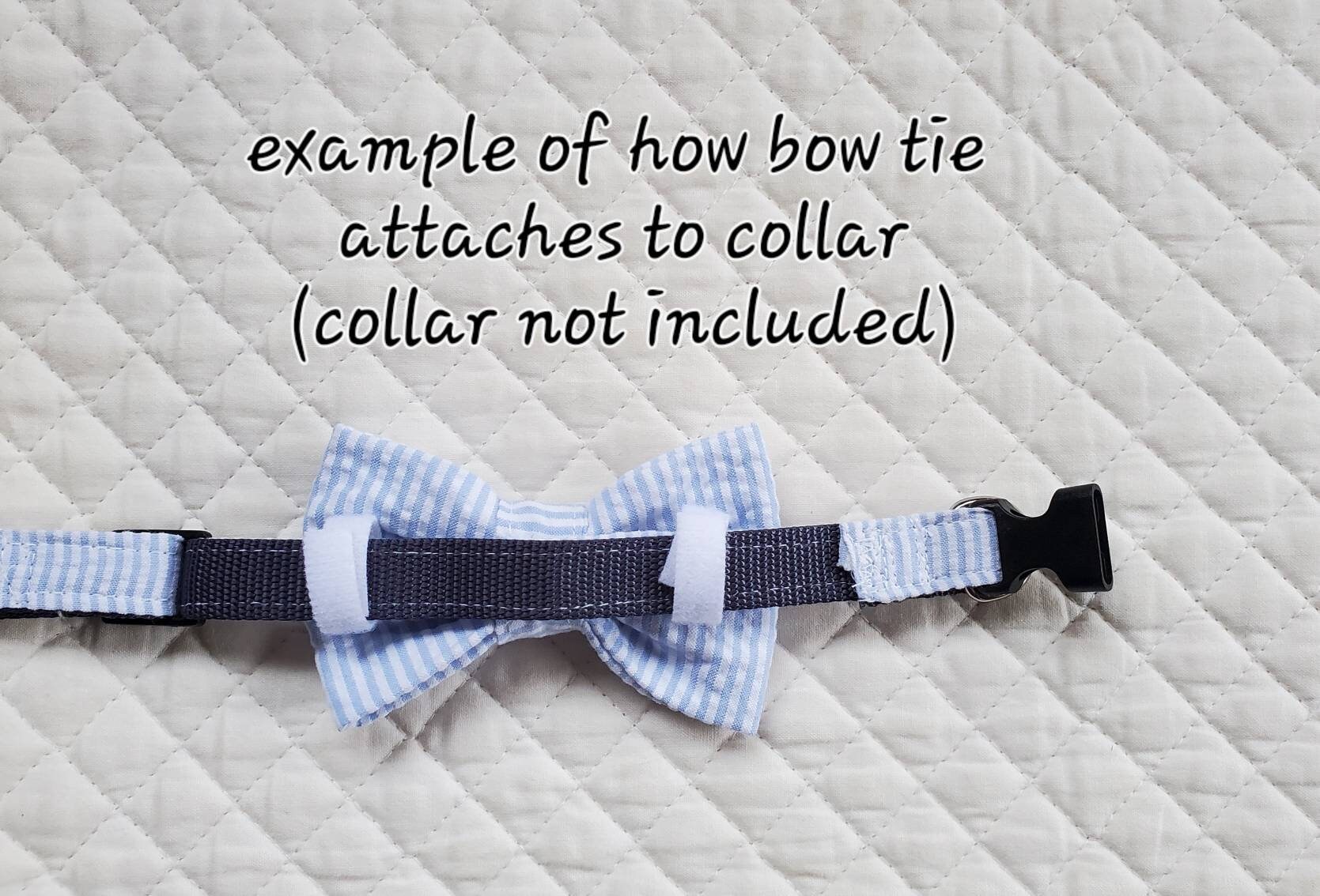 seersucker dog bow tie