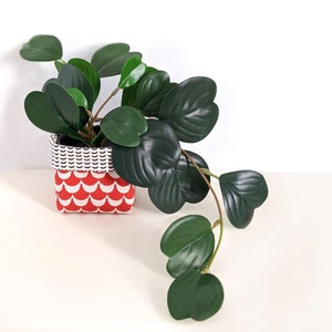 May include: A potted plant with large, dark green leaves. The plant is in a square pot with a red and white patterned design. The pot has a black and white woven top. The plant's leaves have a glossy appearance.