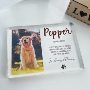 Pet Memorial Plaque, Acrylic Photo Block, Dog Sympathy Gift, Pet Loss Gifts, Pet Sympathy Gift, Pet Portrait Loss Gift AMP02