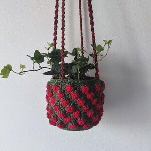 May include: A green and red crocheted hanging planter with a leafy plant inside. The planter is shaped like strawberries.