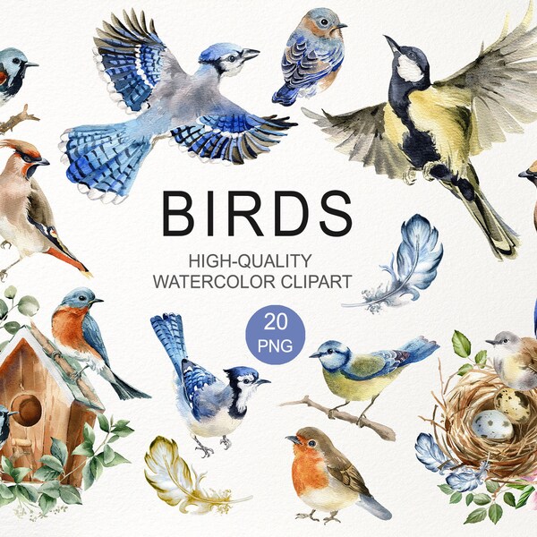 Watercolor bird clipart | Bluebird PNG | cute Blue jay | flying birds | Waxwing Robin Birdhouse | Nursery art | Digital illustration