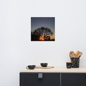 Könnte beinhalten: Ein quadratischer Druck eines Baumes vor einem Sonnenuntergang. Die Sonne ist ein helles orangefarbenes Leuchten hinter den Ästen des Baumes. Der Himmel geht von Orange in ein tiefes Blau über. Der Druck wird an einer weißen Wand angezeigt.
