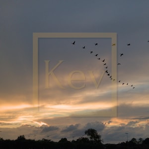 May include: A flock of birds flying in a V formation against a sunset sky. The sky is a mix of orange, pink, and blue. The birds are silhouetted against the sky.