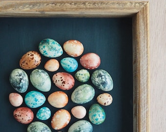 Speckled plaster egg framed wall art: handmade in Australia by Emily Engel