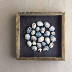 Blue speckled plaster egg framed wall art: handmade in Australia by Emily Engel image 1